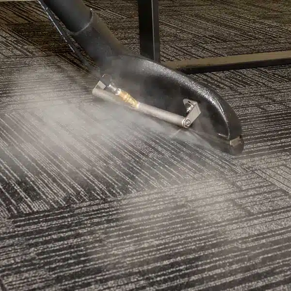 Carpet Cleaning in Santa Barbara, CA