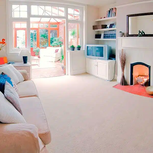 Carpet Cleaning in Thousand Oaks, CA